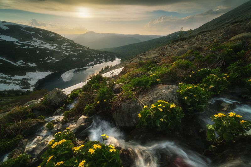 россия, сибирь, кузбасс, кемеровская область, поднебесные зубья, хребет, озеро, лето, природа, пейзаж, цветы Потокphoto preview