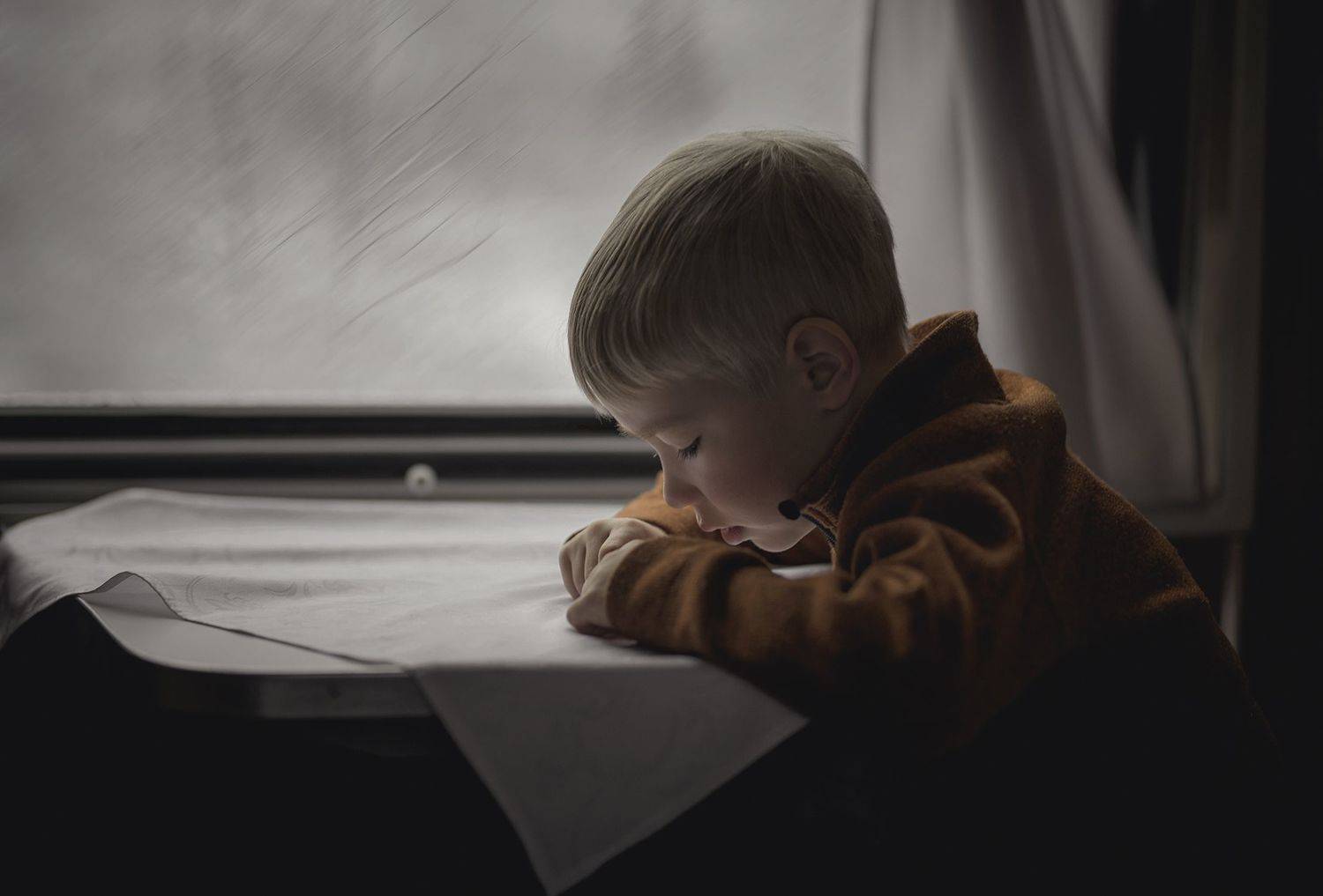 в поезде.... Автор: Мария Преснякова , Мария Преснякова