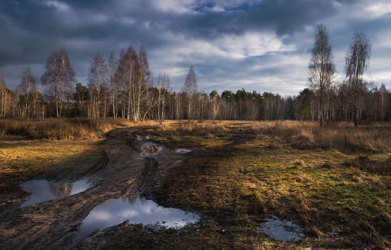 луг зима январь лужи крылья ангела Дождевые тучиphoto preview