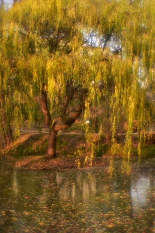 Осень в парке (монокль) фото превью