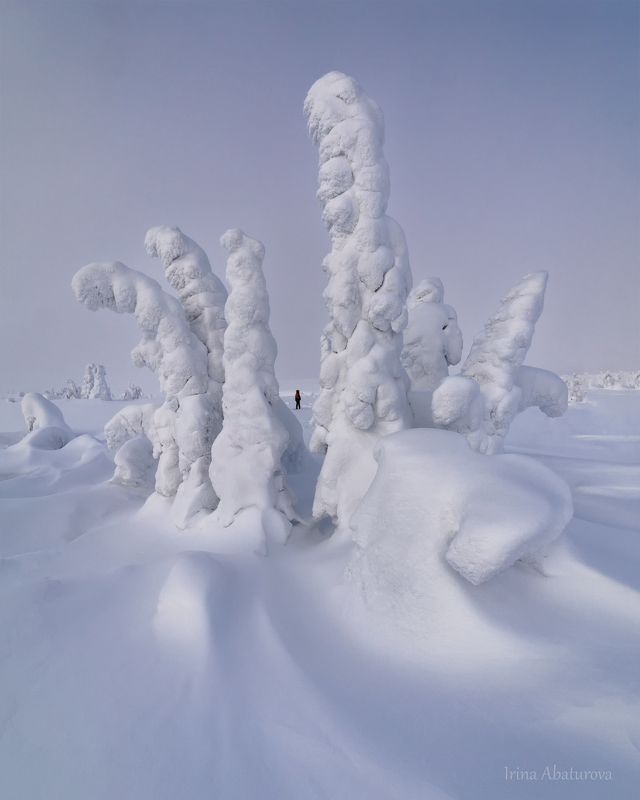зима, урал, север, снег, ветер, сугроб, гух, главный уральский хребет В саду сказочных скульптурphoto preview