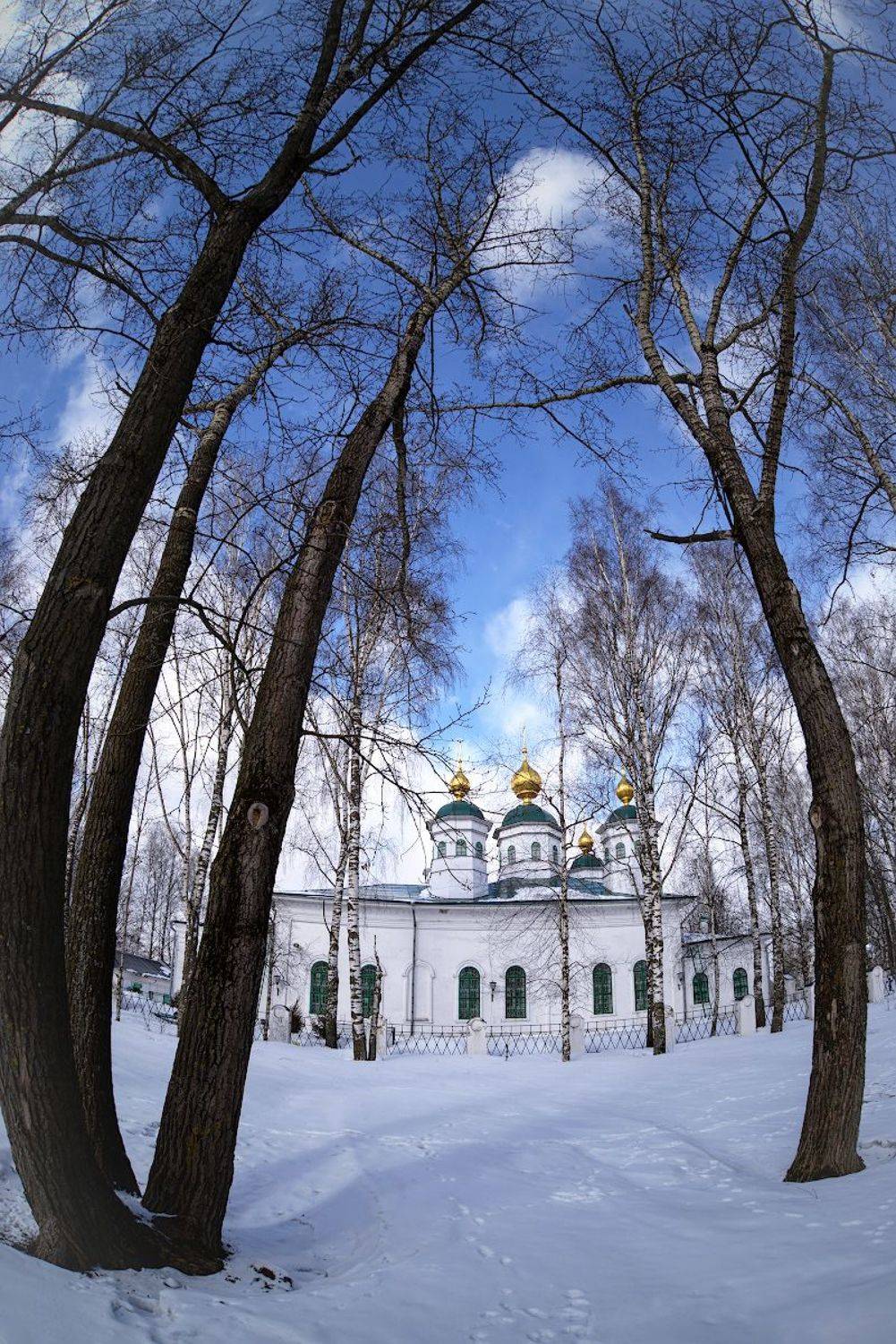 , Марина Никифорова