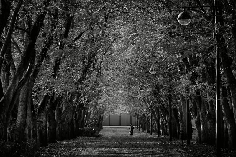 Ноябрьphoto preview