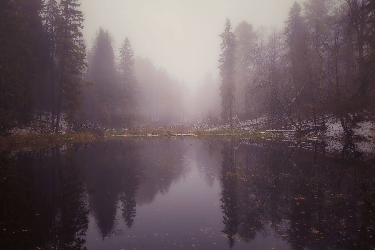 , Булатов Дмитрий