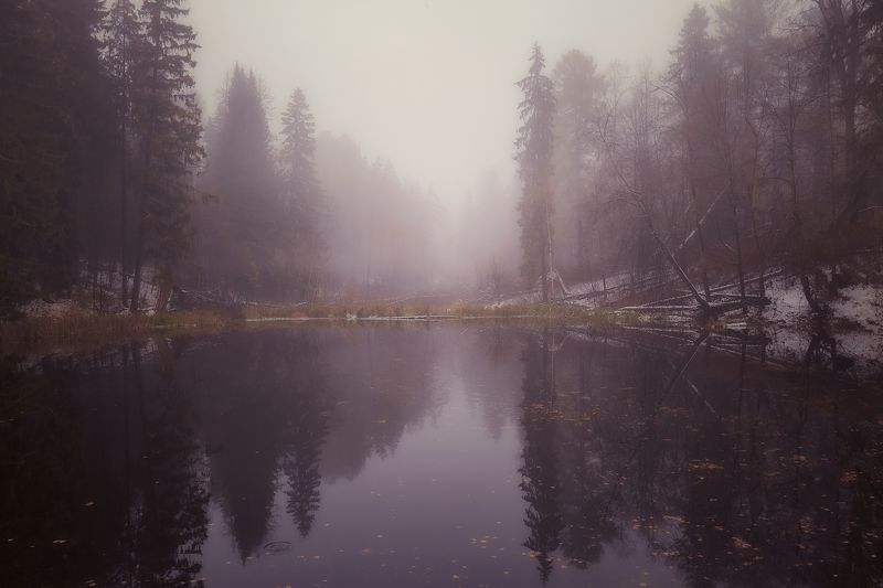 туманное озеро фото превью