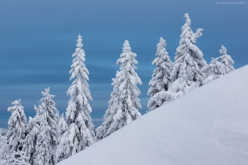 Лестницаphoto preview