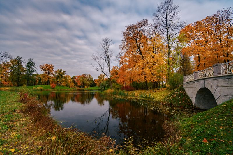 парки,царского,села Царское село, Александровский паркphoto preview