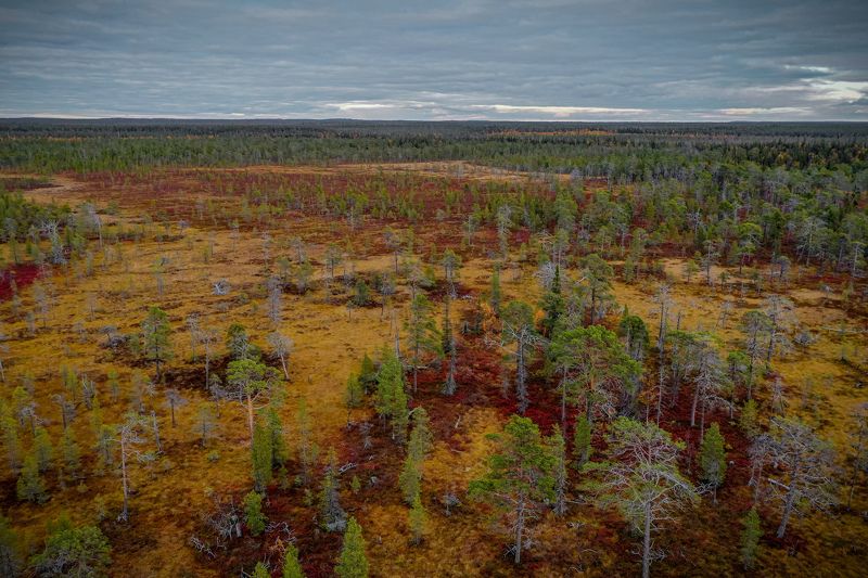 Где осень бывает настоящейphoto preview