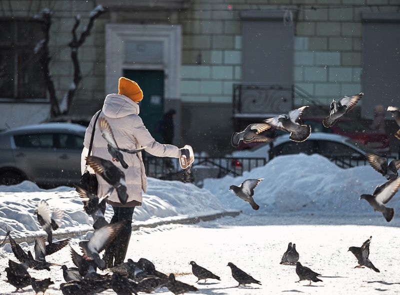 ....заботаphoto preview