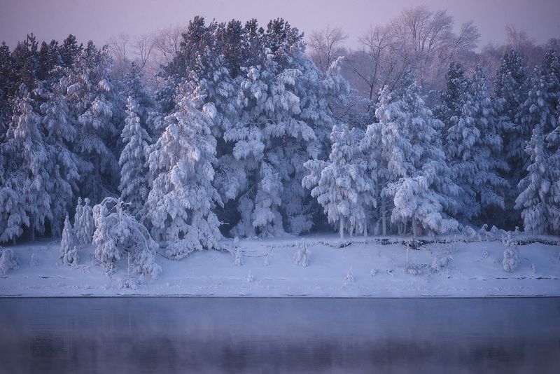 сибирь, енисей, мороз, туман, иней, красноярский край Енисейская Сибирьphoto preview