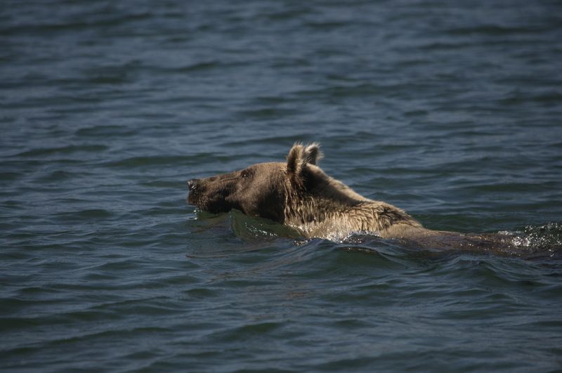 На переправеphoto preview