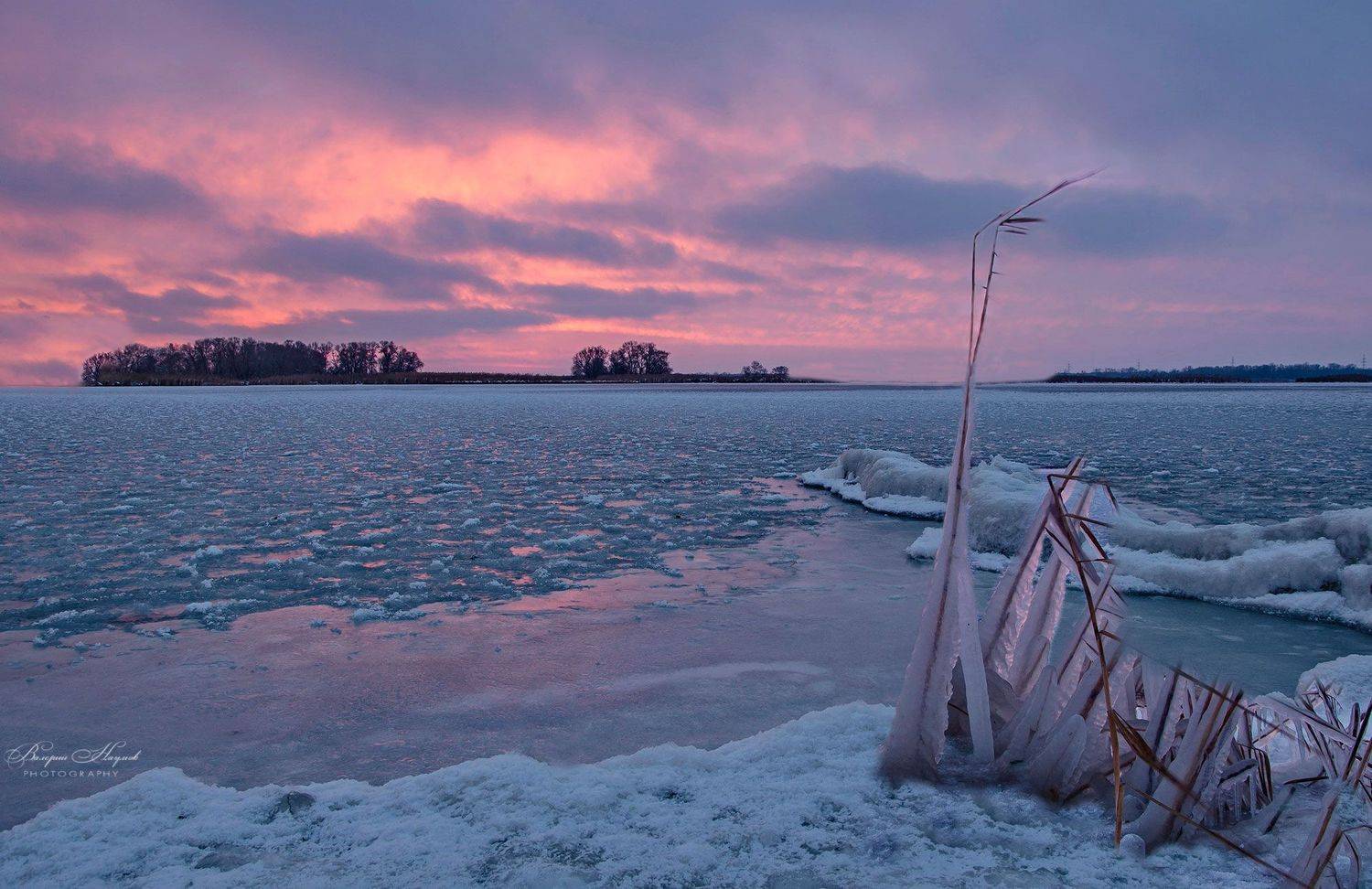 утро, рассвет, восход, зима. январь, днепр, каховка, снег, лёд. камыш, Валерий Наумов