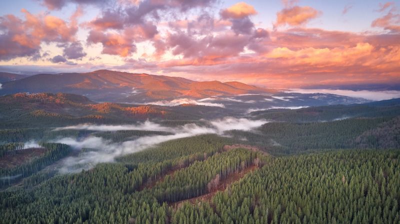 горы, дронофото, карпаты, лес, ноябрь, осень, панорама, рассвет, туман, украина, утро Занималось утро над Горганамиphoto preview