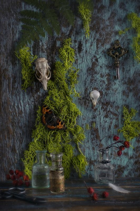 лесные жители*photo preview