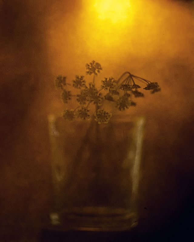 Солнце в бокалеphoto preview