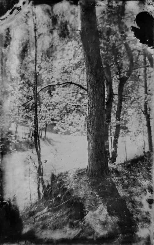 амбротип,  плёнка, средний формат, пейзаж, большой формат. photo preview