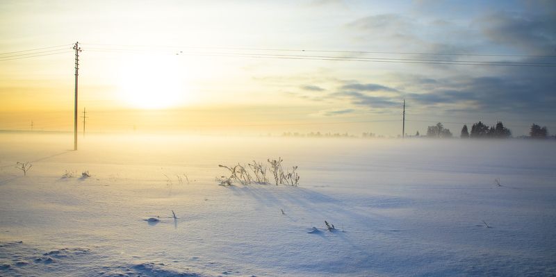 пейзаж, природа, день, зима Туманный зимний день фото превью