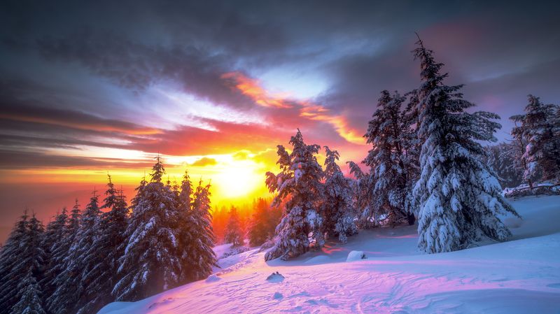 Winter Dawnphoto preview