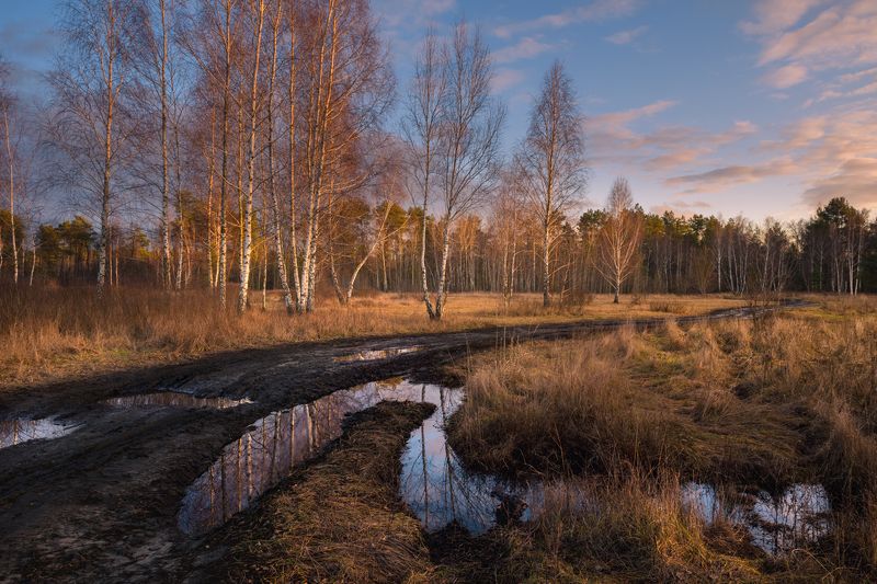 луг зима январь лужи закат Март в январеphoto preview