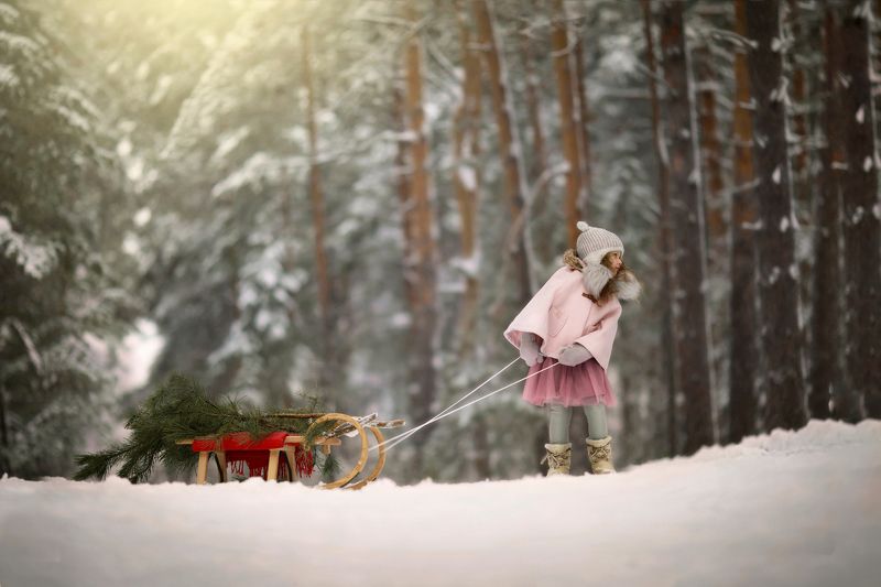 новый год, рождество, сани, санки, зима, christmas, new year, winter, santa Christmas Vibesphoto preview