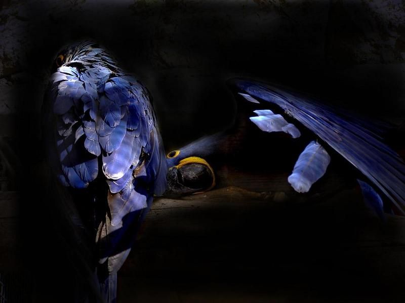 Помиримся?photo preview