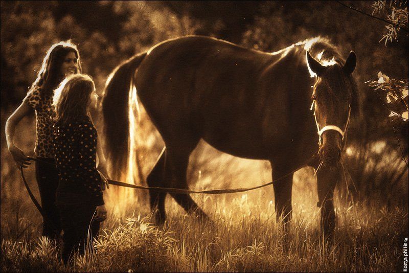 Добрая летняя фотография :)photo preview