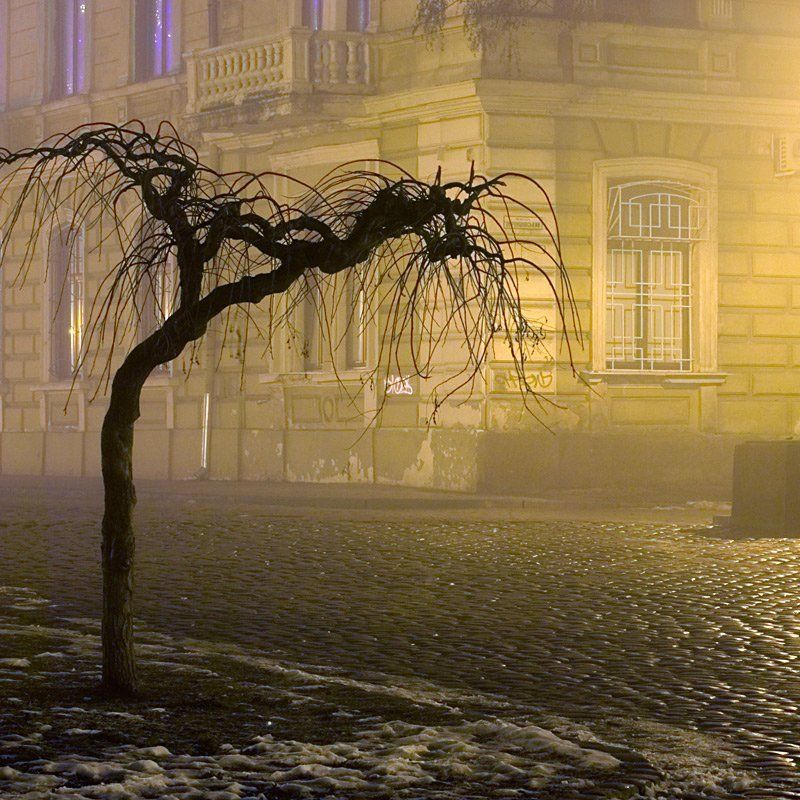 пейзаж, город, зима, ночь, туман, , дерево, одиночество, грусть, lad_i_mir Грустьphoto preview