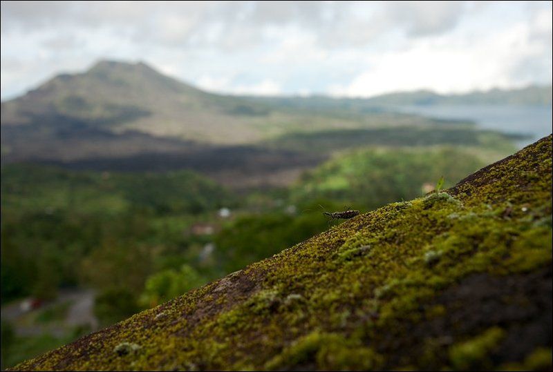 бали, вулкан тут есть тараканphoto preview