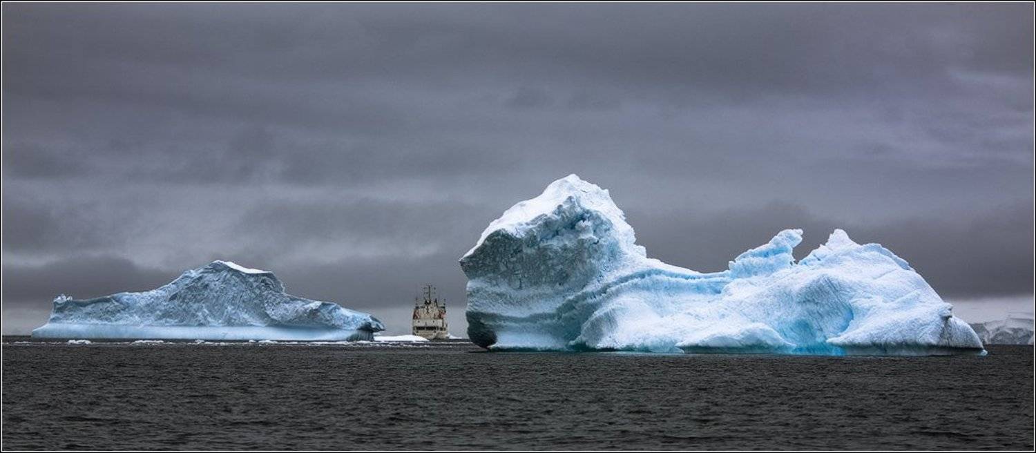 , Игорь Гущин