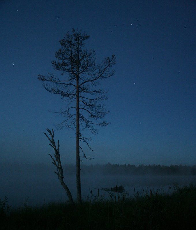 карелия, ночь Карельскаяphoto preview