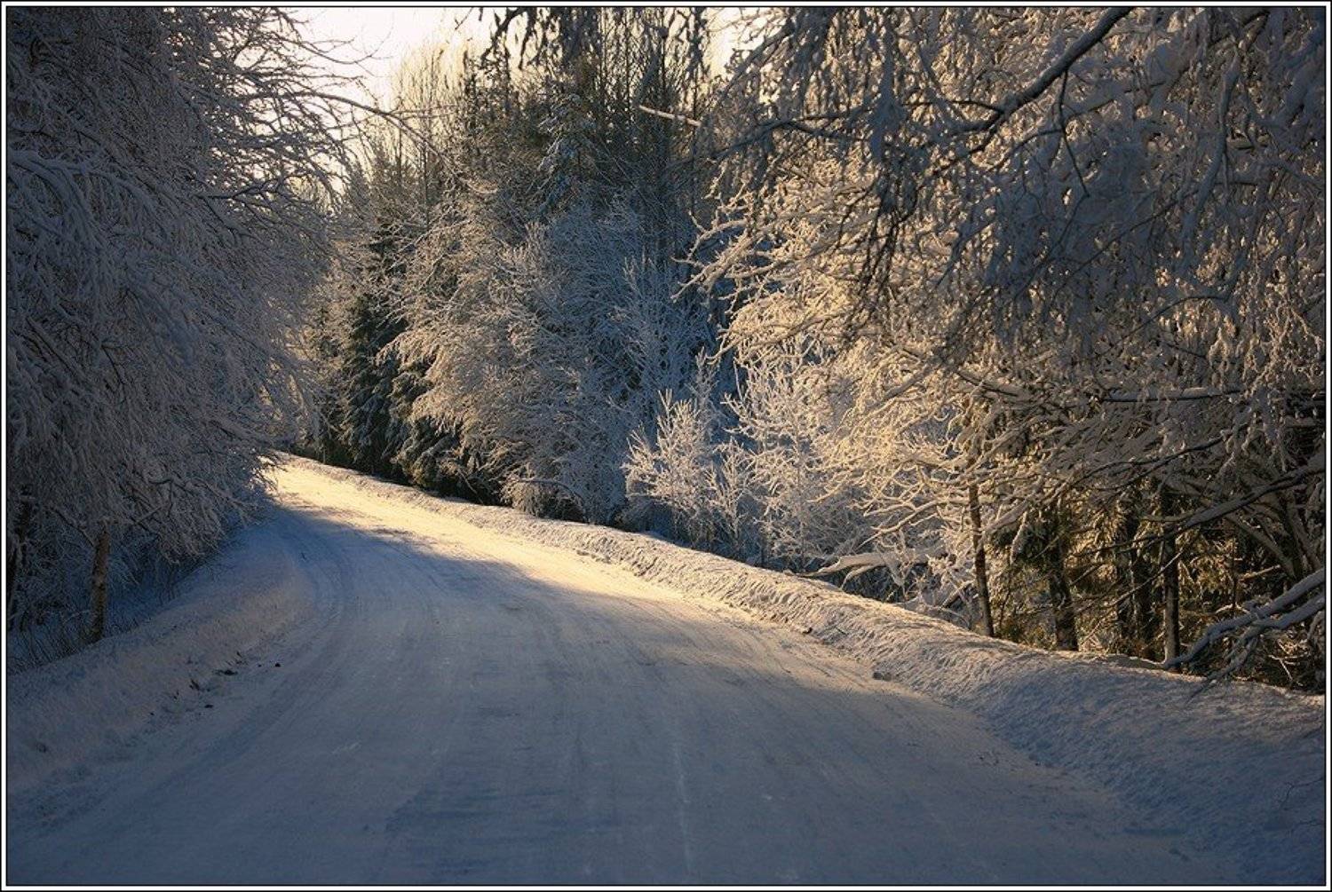 Поворот. Автор: Григорий Иващенко зима, свет, иней, дорога, Григорий Иващенко