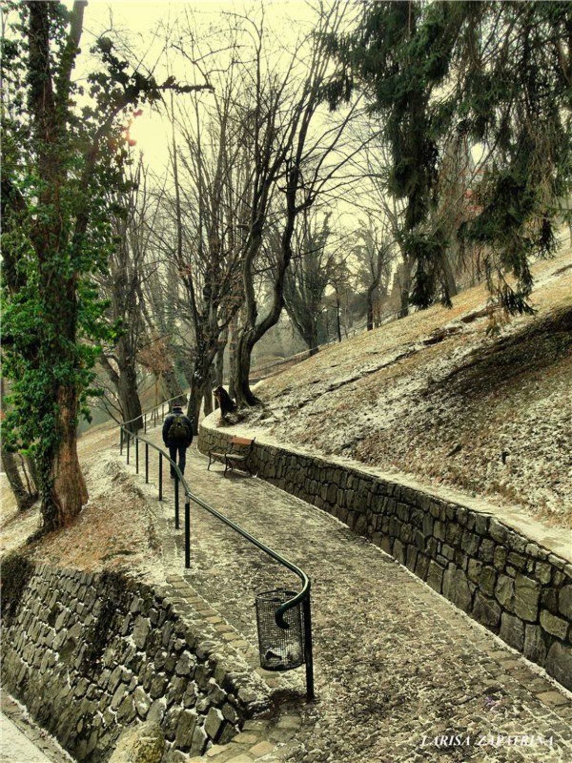 , Лариса Запатрина