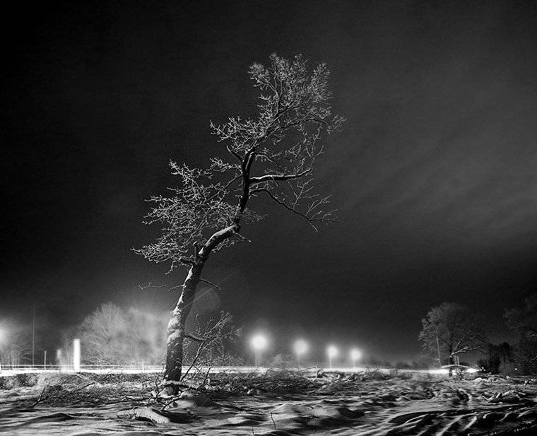 * * *. Автор: Эдуард VTORNIK Николаев ночь,дерево, Эдуард VTORNIK Николаев