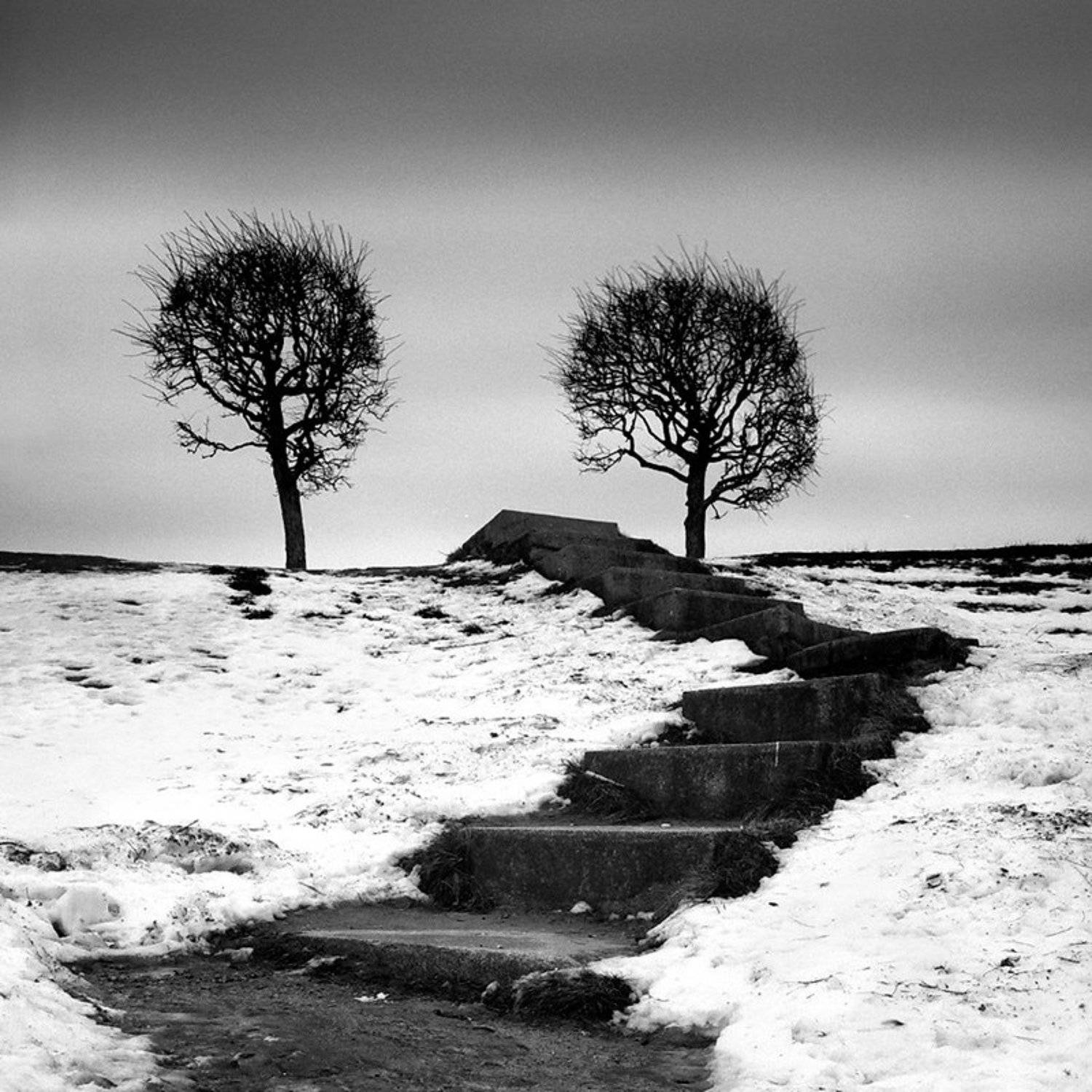 Лестница в небо. Автор: Токарь Дмитрий , Токарь Дмитрий
