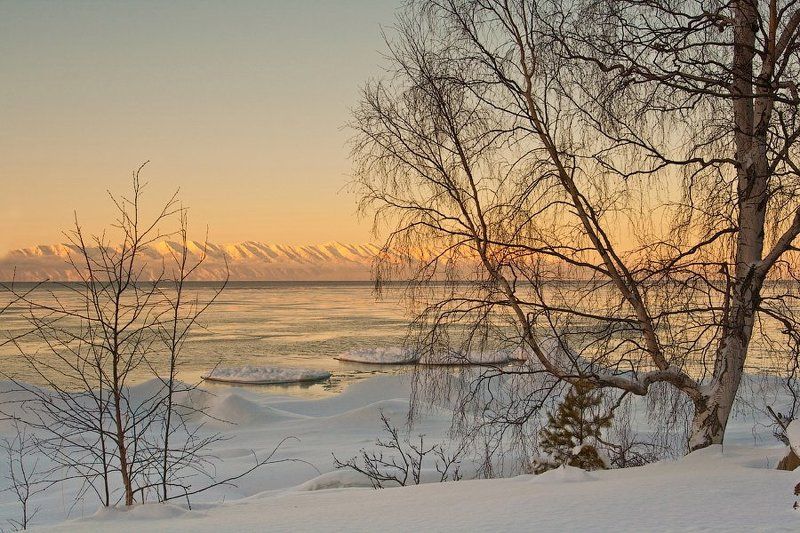 бурятия, байкал, зима, лед, мыс, святой нос, деревья * * *photo preview