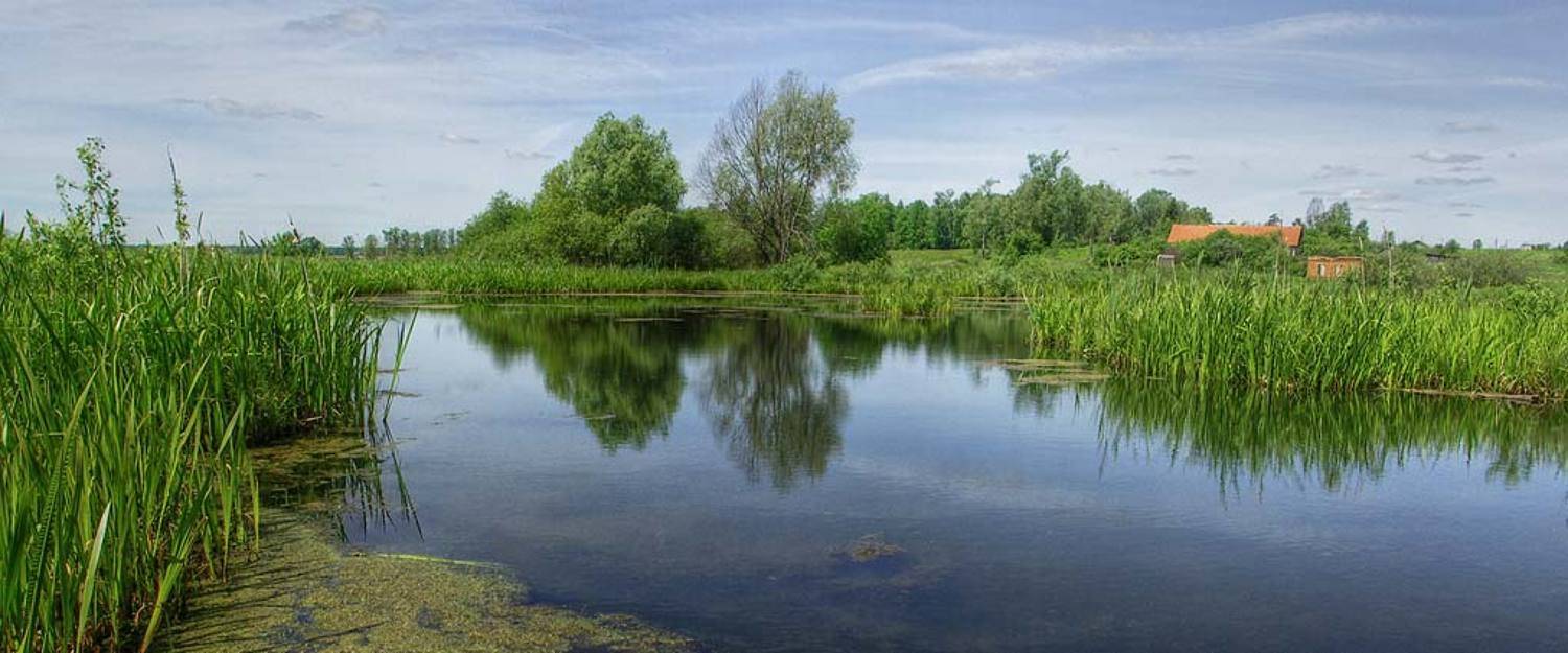 , Наталья Захарова