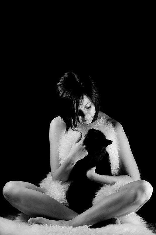 Кошкиphoto preview