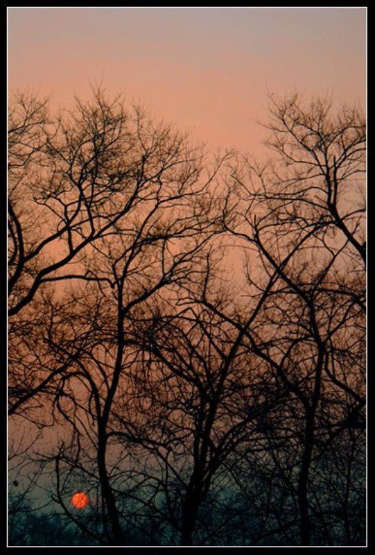 восход, зима Восход.photo preview