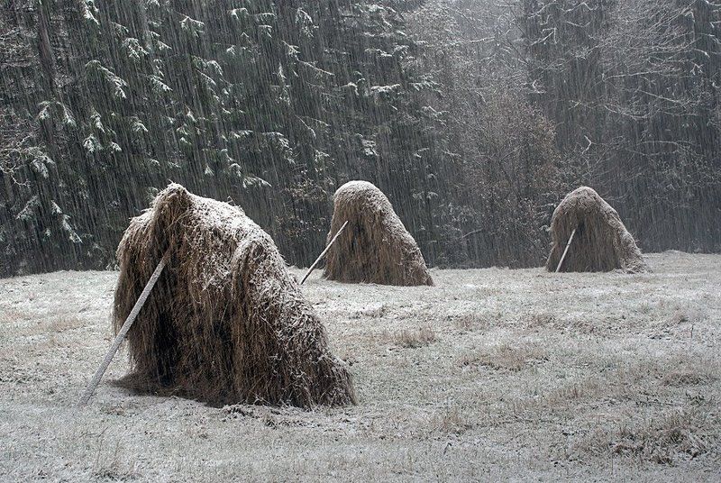 пейзаж, зима, снег, стихия, стога, lad_i_mir Под снежным напоромphoto preview