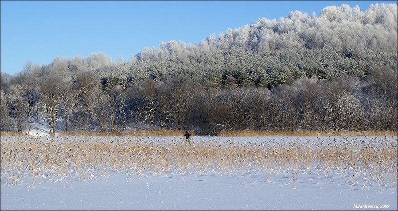зима, снег, иней, озеро, камыш, рождество, природа Я всем расскажу, что приходила зимаphoto preview