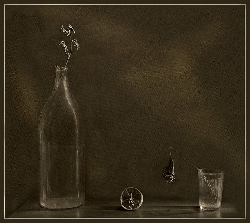 Сушнякphoto preview