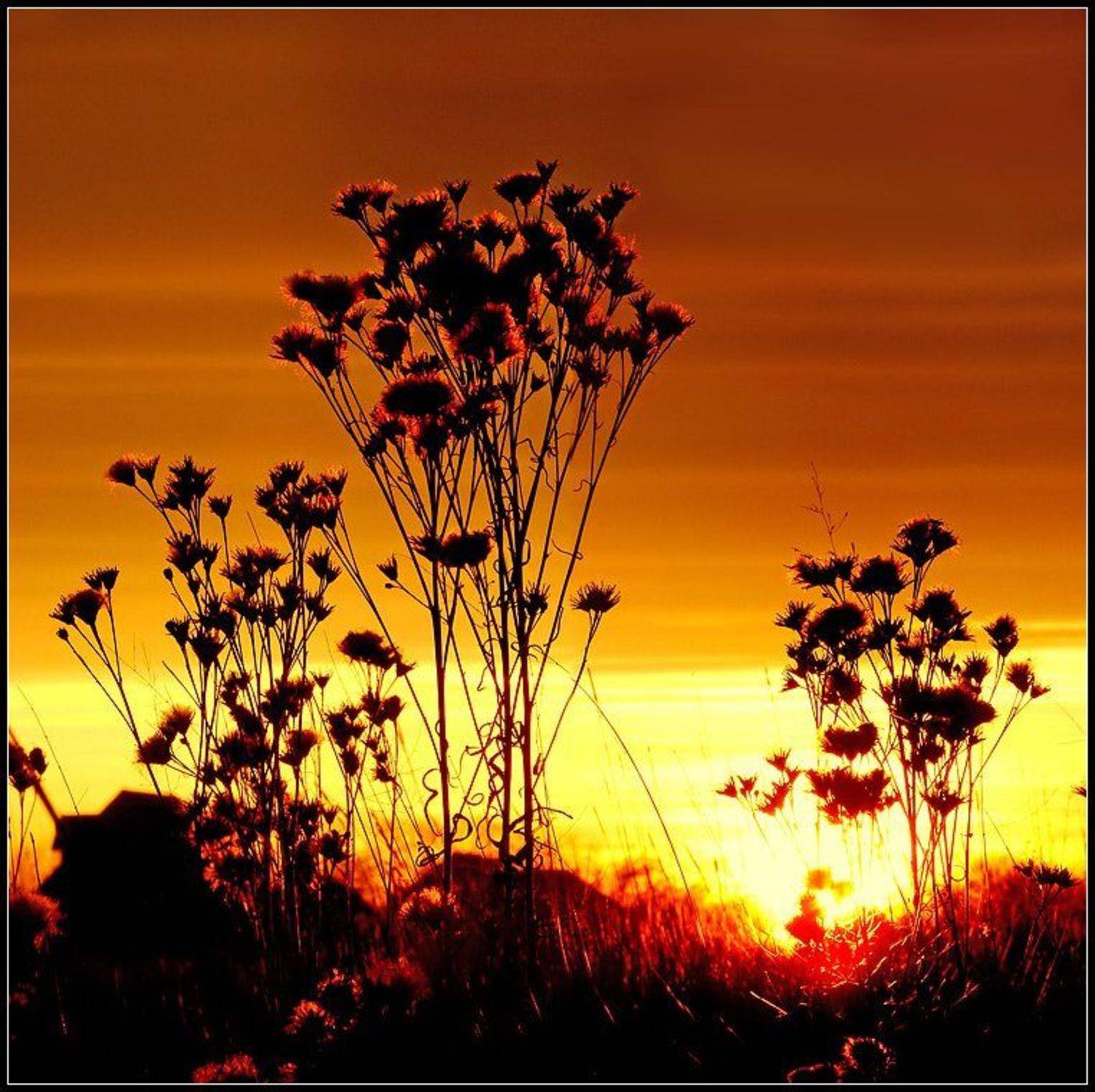 хакасия, Олег Клочков