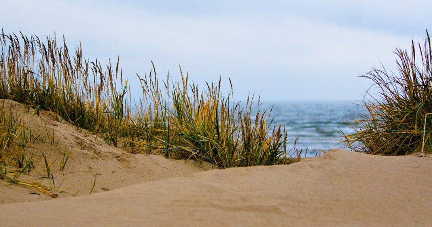 ИМХО ассоциации к фильму "Достучаться до небес". Автор: Владимир , Владимир