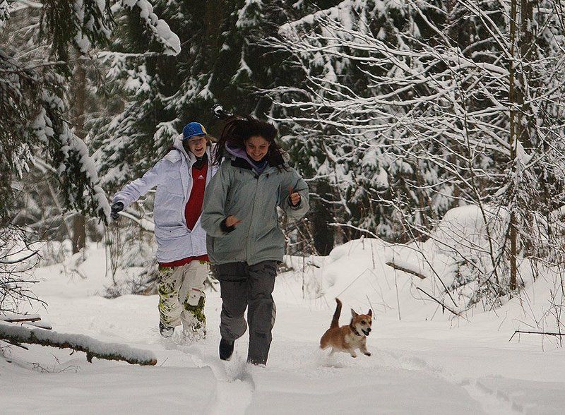 Какое оно, твоё счастье ? фото превью