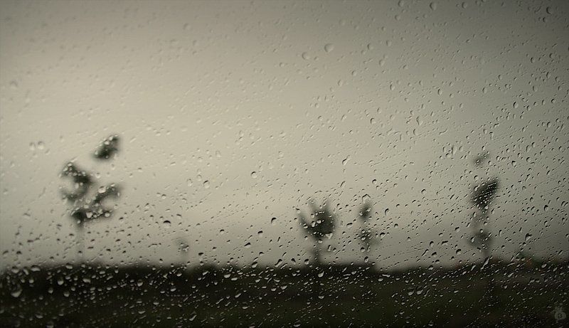 вода, капли, дождь, настроение, серебро, музыка, деревья .....photo preview