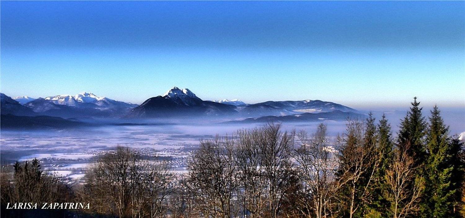 , Лариса Запатрина