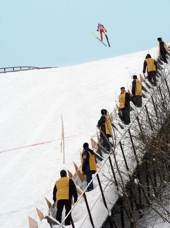 зима, полет Рожденный стоять - летать не можетphoto preview