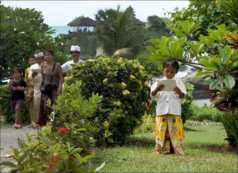 бали читательphoto preview