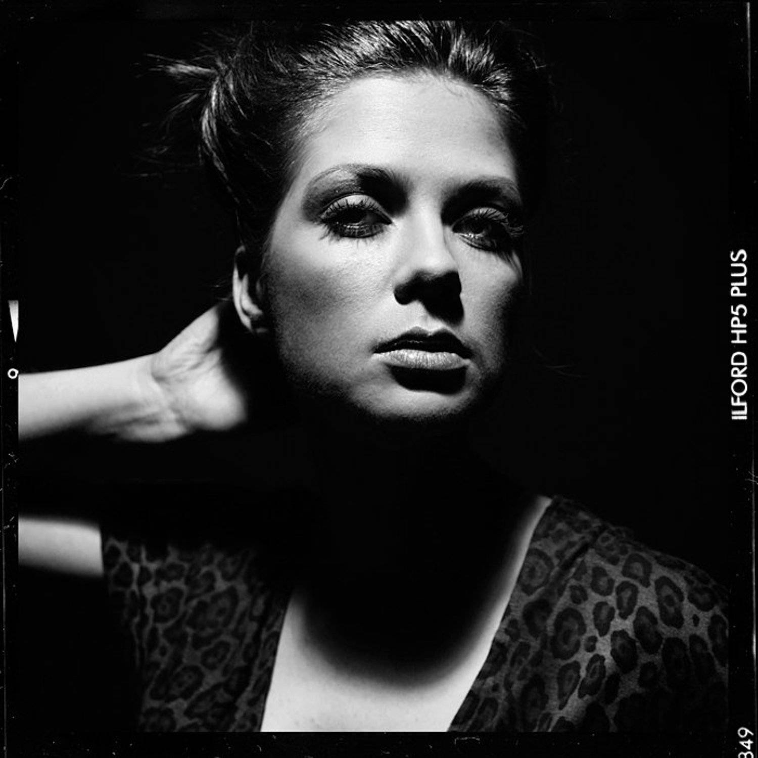 Автор: Gladarev , Gladarev