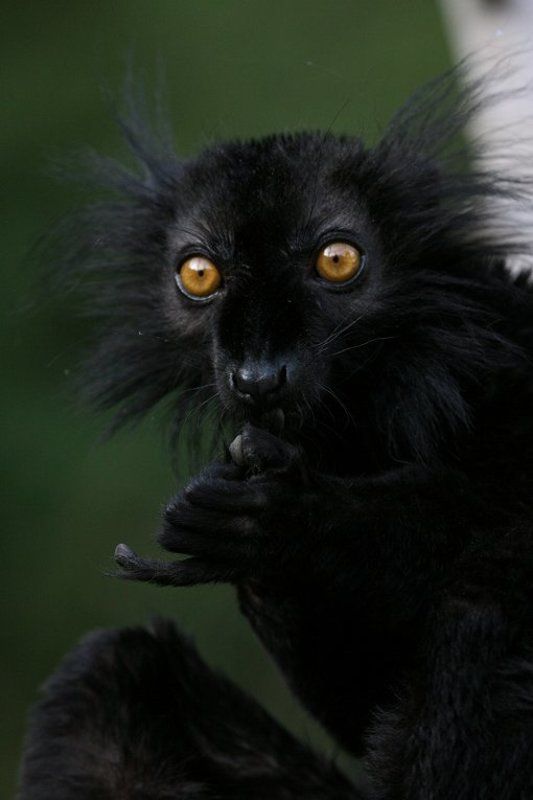 покурим?...photo preview